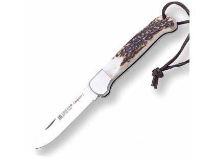 Joker Canguro I, stag horn