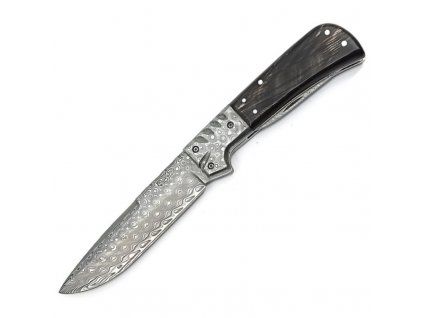 Mikov Les