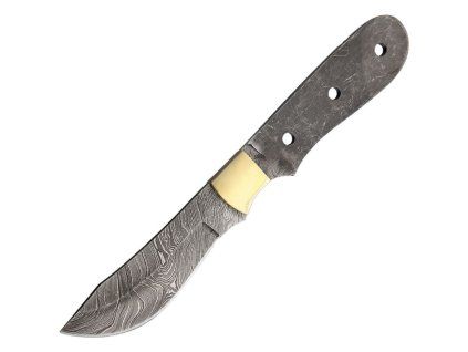BL030 (1)