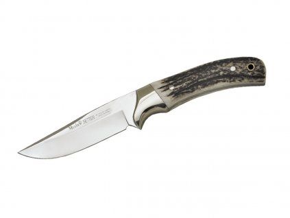 muela setter stag 11a