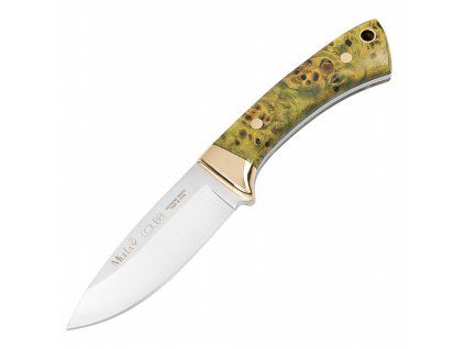 muela colibri marple wood col 7 to 3