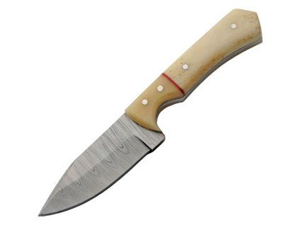 DM1404BO