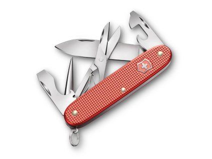 SAK 0 8231 L25 S1