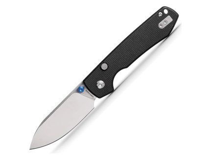 raccoon A2903 1