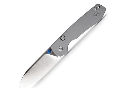Raccoon A2906 1