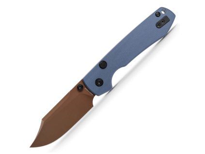 Raccoon A2909 1