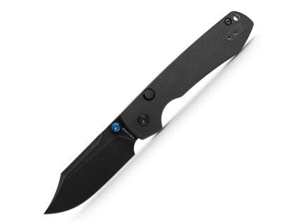 Raccoon A2910 1