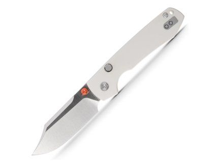 Raccoon A2912 1