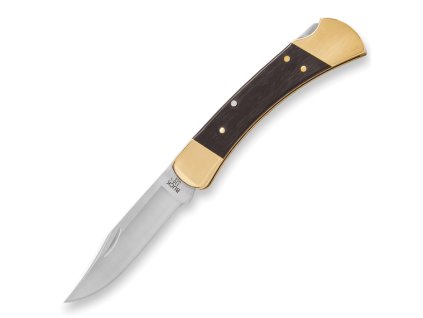 0110BRS19 B 1