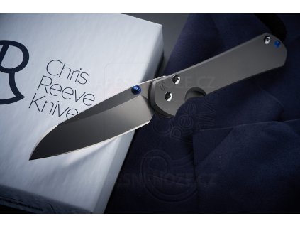 Chris Reeve Sebenza 31 Large Glass Blasted Insingo L31-1685