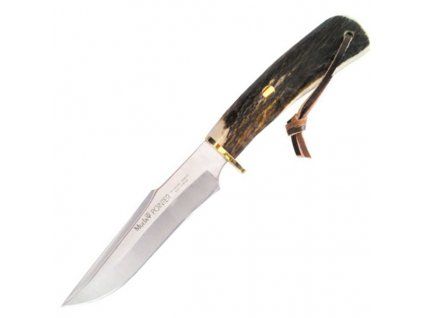 Muela POINTER