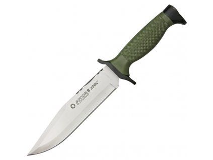 Bowie NATO