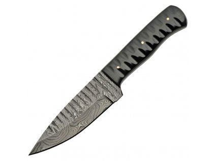 Pakistan Sharktooth Horn