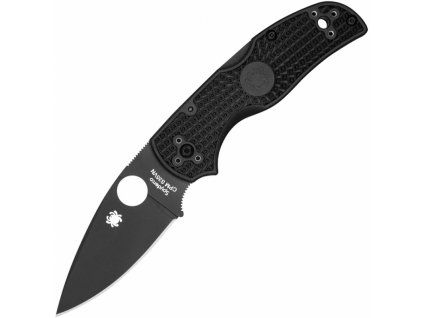 Spyderco Native 5 Lockback Plain