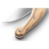 LionSTEEL Gitano Olive Wood