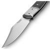 LionSTEEL Gitano Carbon fibre GT01CF