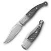 LionSTEEL Gitano Carbon fibre