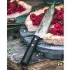 samura damascus 67 4