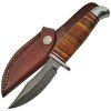 Product 41661