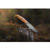 helle nord 670 5