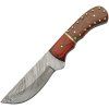 Damascus Studded Wood Brass Skinner