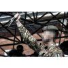 extrema ratio col moschin black collector edition 5