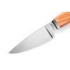 lionsteel willy olive wood