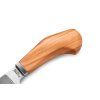 lionsteel willy olive wood