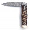 mikov predator mamut