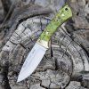 muela colibri marple wood col 7 to
