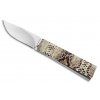 a g a campolin dragonfly steel snake skin design limited