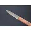 Kanetsune Paring Knife 60mm
