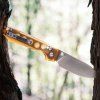 Raccoon A0531 9