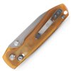 Raccoon A0531 2