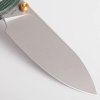 raccoon A2904 8