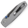 Raccoon A2906 2