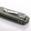 Raccoon A2911 7