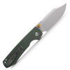 Raccoon A2911 3
