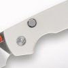 Raccoon A2912 5