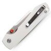 Raccoon A2912 2