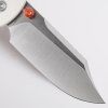 Raccoon A2912 8