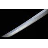 SH6001X2 add 02